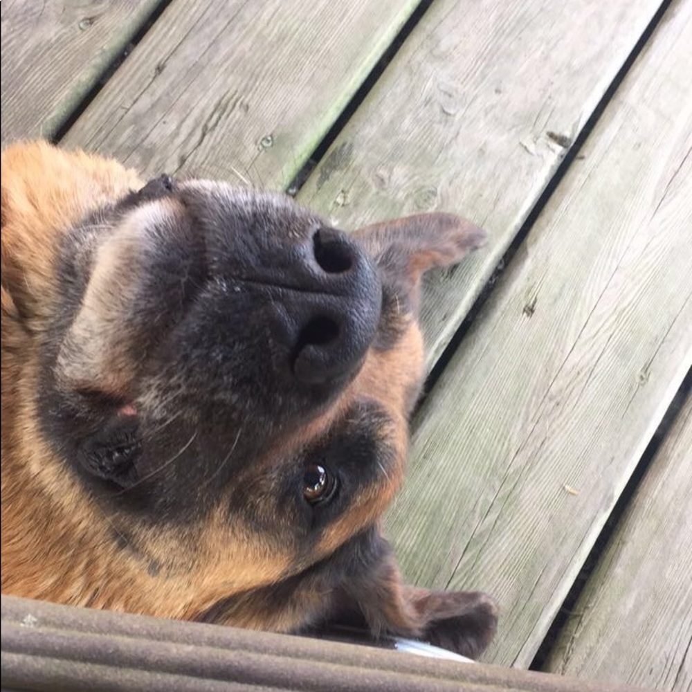 Meet your Posher, Tina